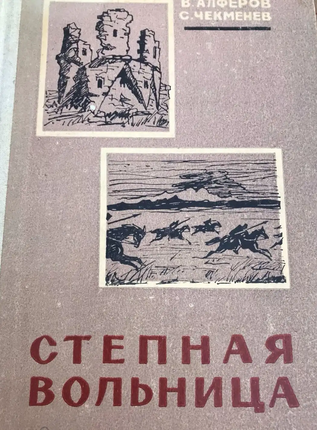 Чекменев С., Алферов В. Степная вольница