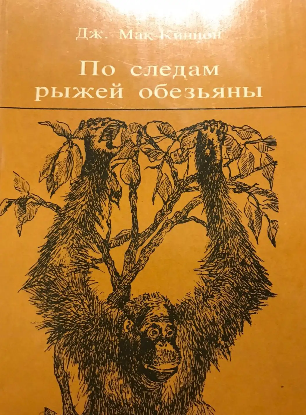 Мак-Киннон, Дж.  По следам рыжей обезьяны