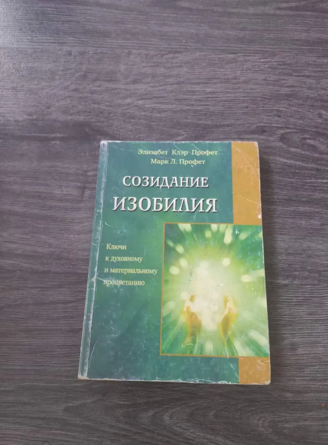 Профет Э., Профет М. Созидание изобилия. Ключи к духовному и материальному процветанию.