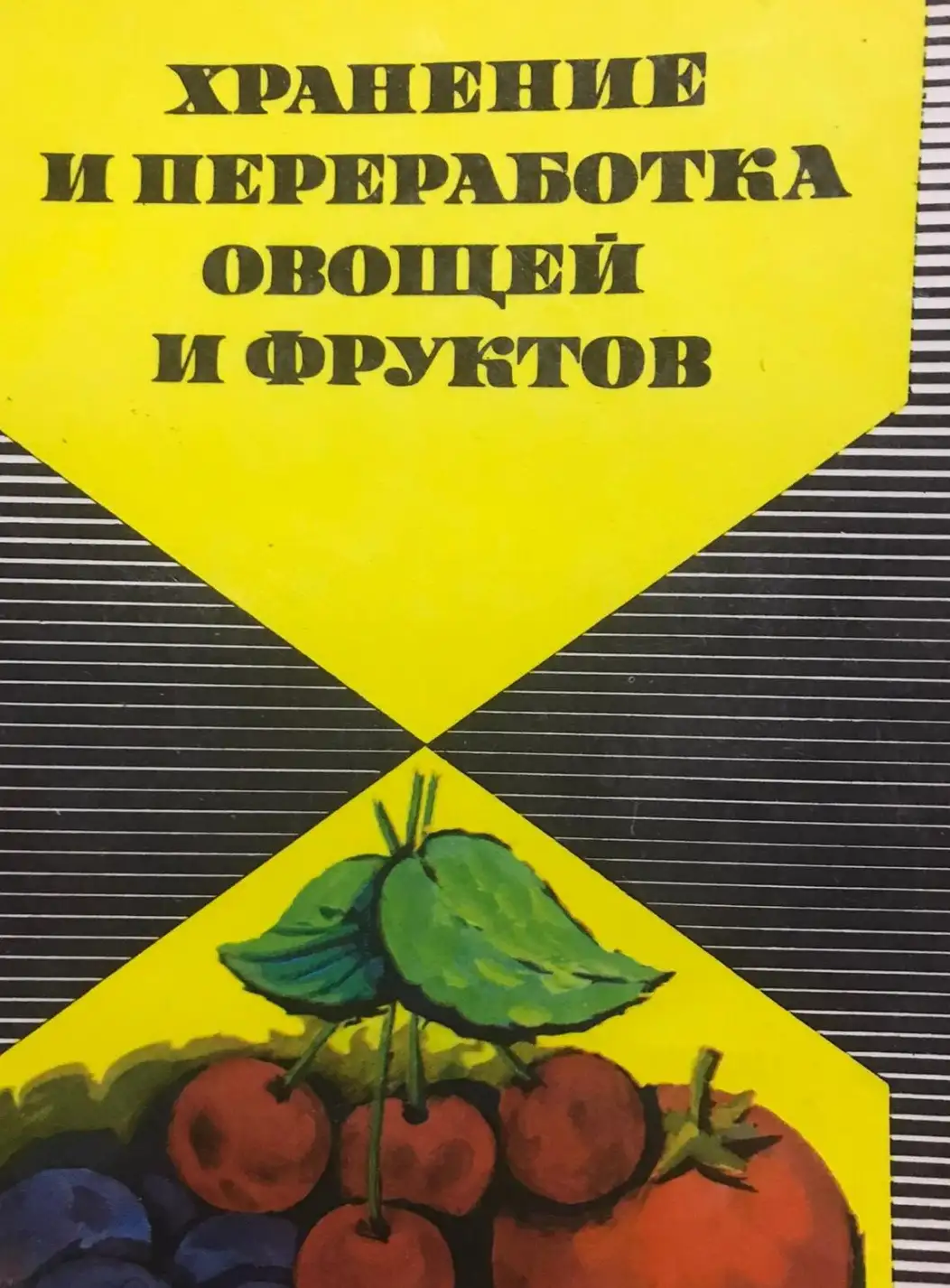 Петровский, К.С.  Хранение и переработка овощей и фруктов в домашних условиях