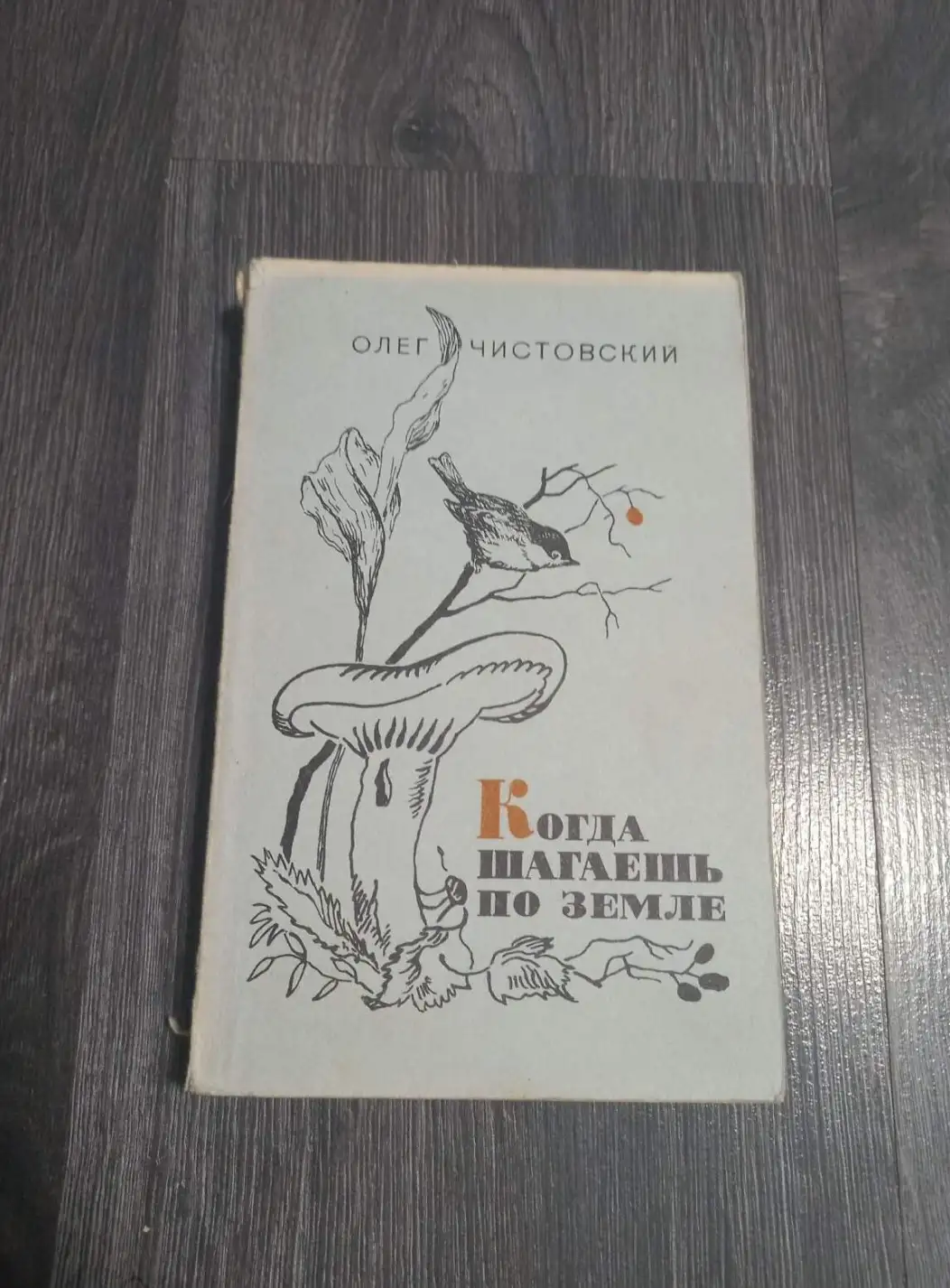 Чистовский, О.  Когда шагаешь по земле