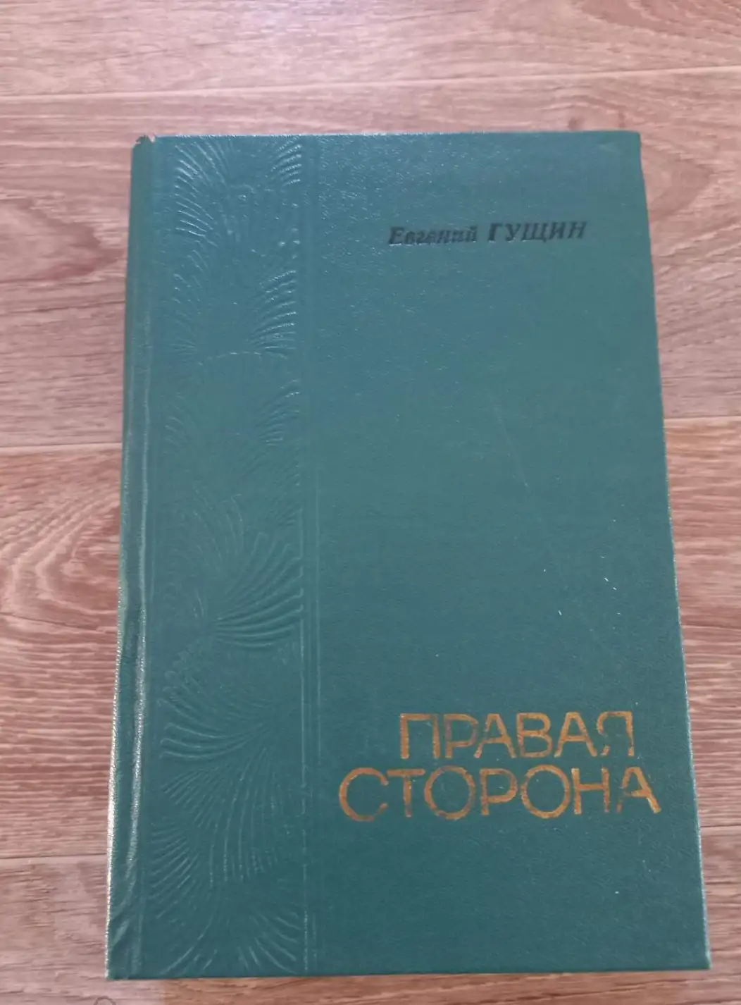 Гущин Е. Правая сторона. Роман.