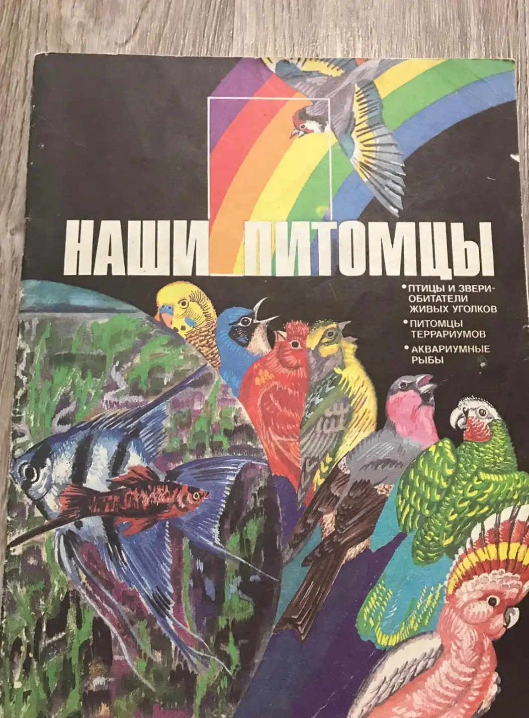 Гусев, В.Г.  Наши питомцы