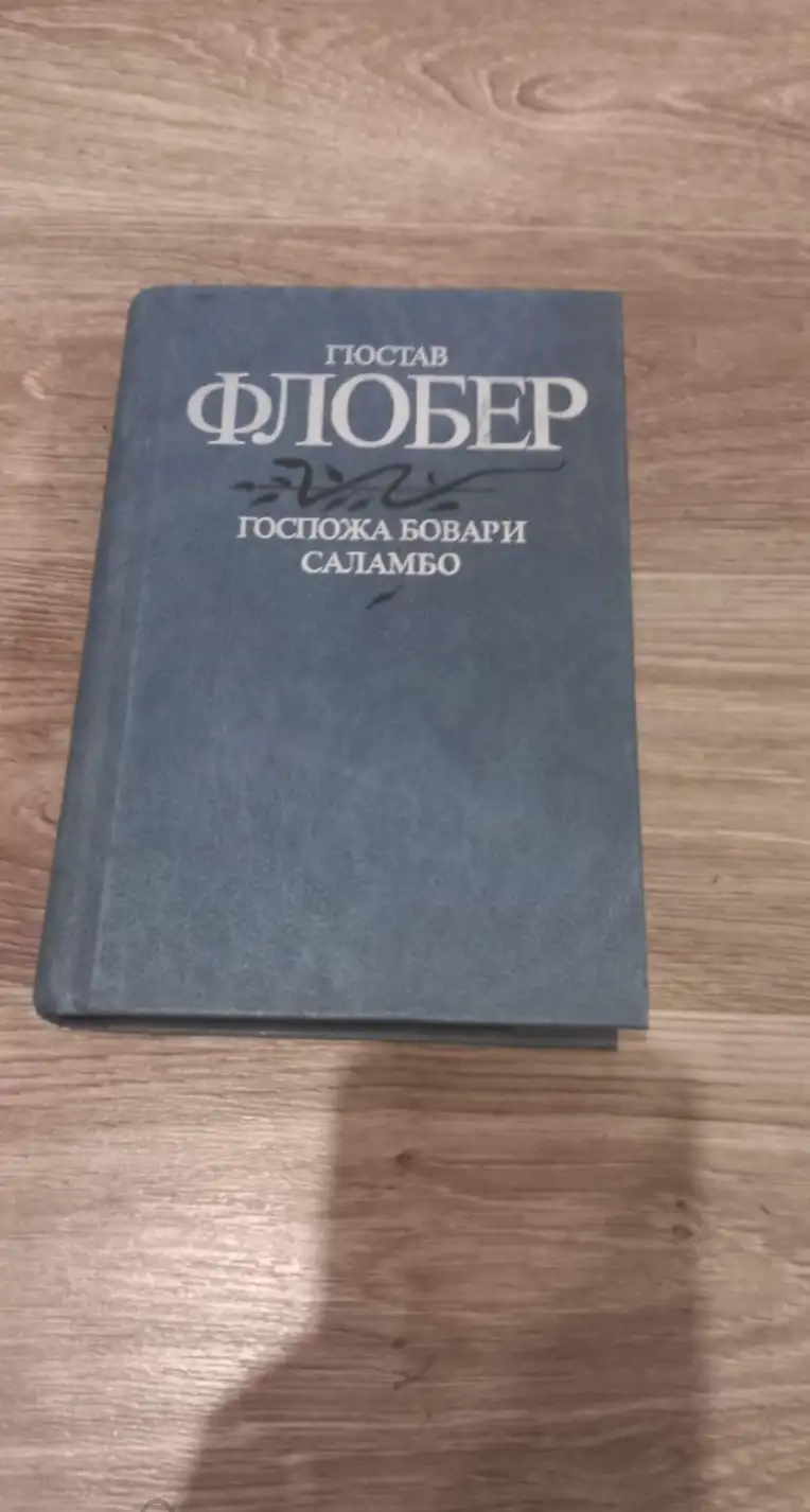 Флобер, Гюстав  Госпожа Бовари. Саламбо