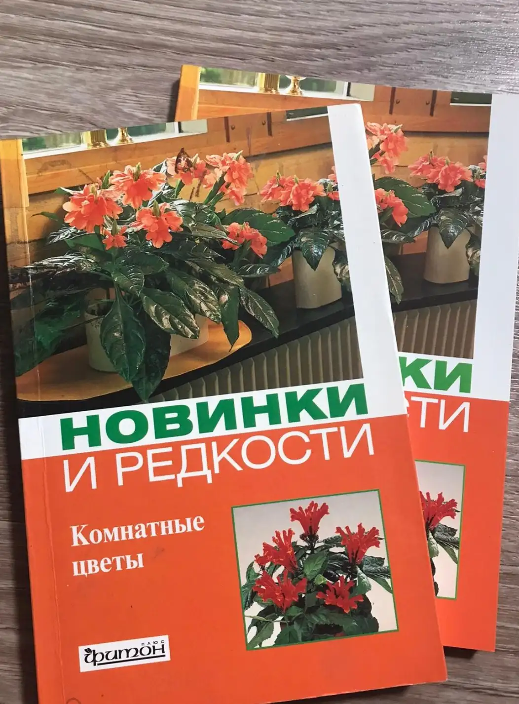 Титова, И.В.  Новинки и редкости. Комнатные растения