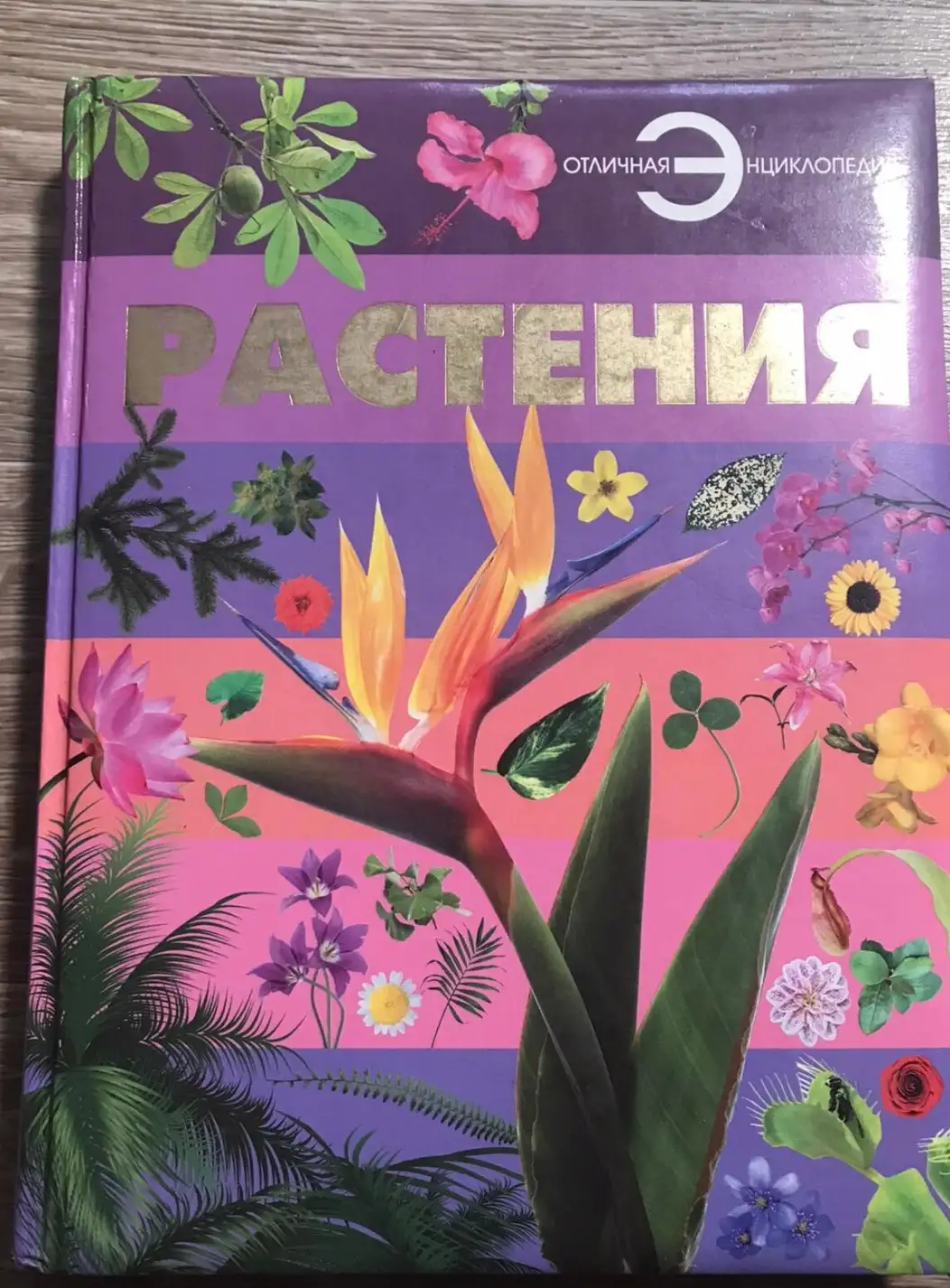 Спектор, А.А.  Растения