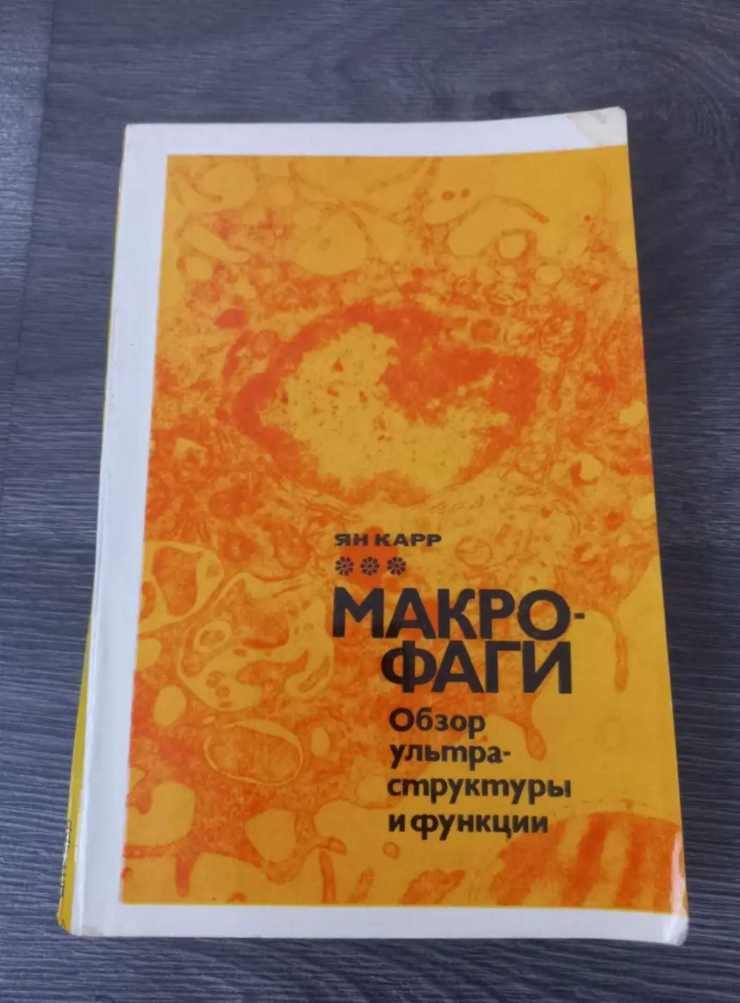 Карр Ян. Макрофаги. Обзор ультраструктуры и функции.