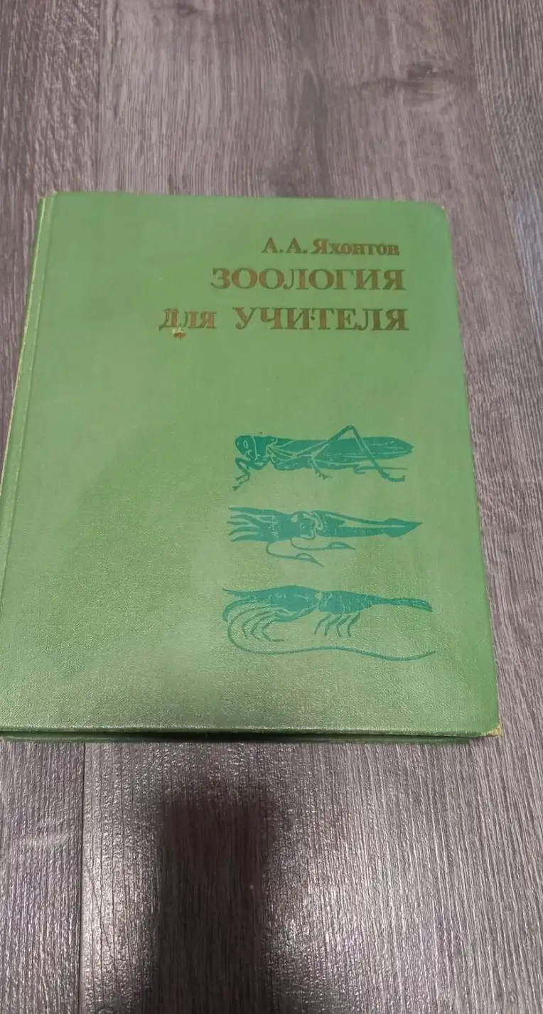 Яхонтов, А.А.  Зоология для учителя. Введение в изучение науки о животных. Беспозвоночные