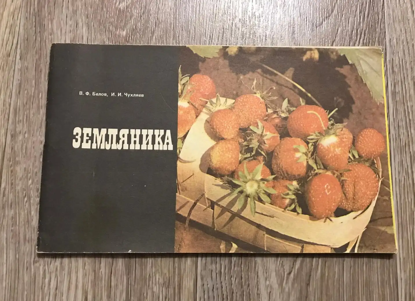 Белов, В.Ф.; Чухляев, И.И.  Земляника