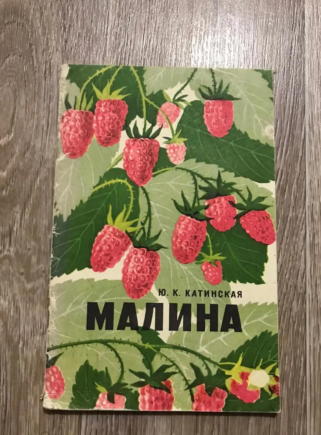 Катинская, Ю.К.  Малина