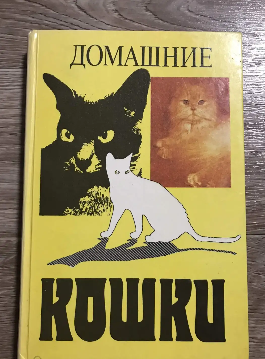 ред. Филиппов, Ю.И.  Домашние кошки