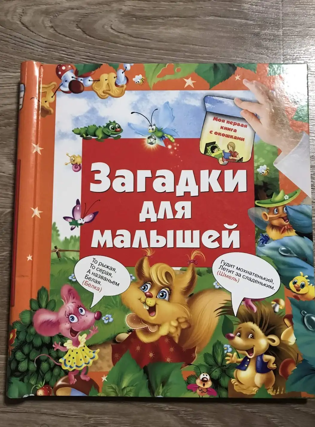 Загадки для малышей Книга с окошками