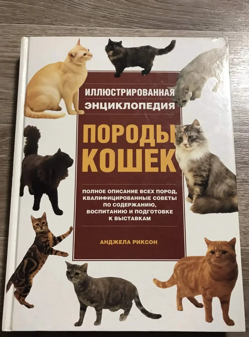 Риксон,   Иллюстрированная энциклопедия. Породы кошек