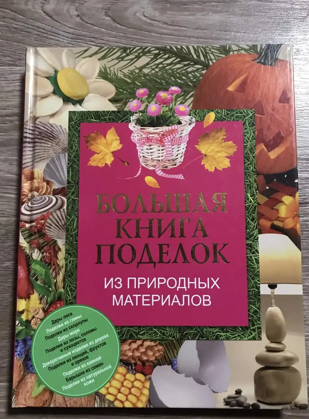 Большая книга поделок из природных материалов