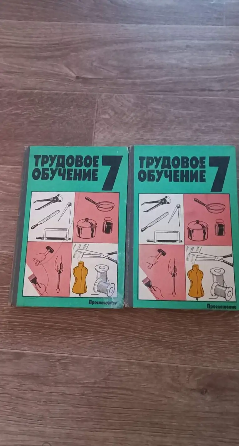 Трудовое обучение: Пробное учебное пособие для 7 класса средней школы